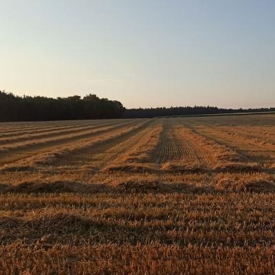 22 07 24 Feierabend