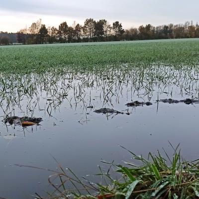 22. November: Zu viel Regen!