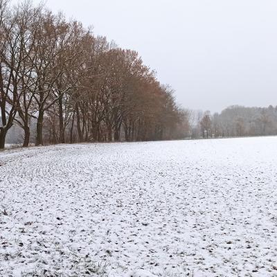 02. Dezember: Schnee!